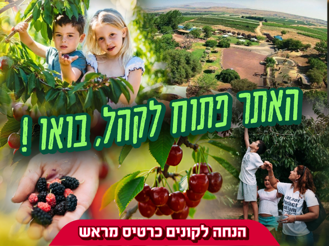 בוסתן בראשית בגולן - קטיף דובדבנים עין זיוון