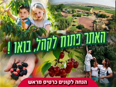 בוסתן בראשית בגולן - קטיף דובדבנים עין זיוון
