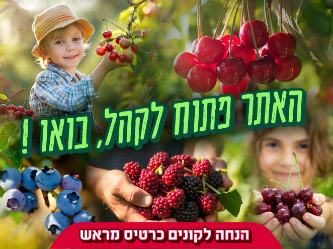 קטיף עצמי אלרום