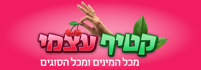 דף הבית
